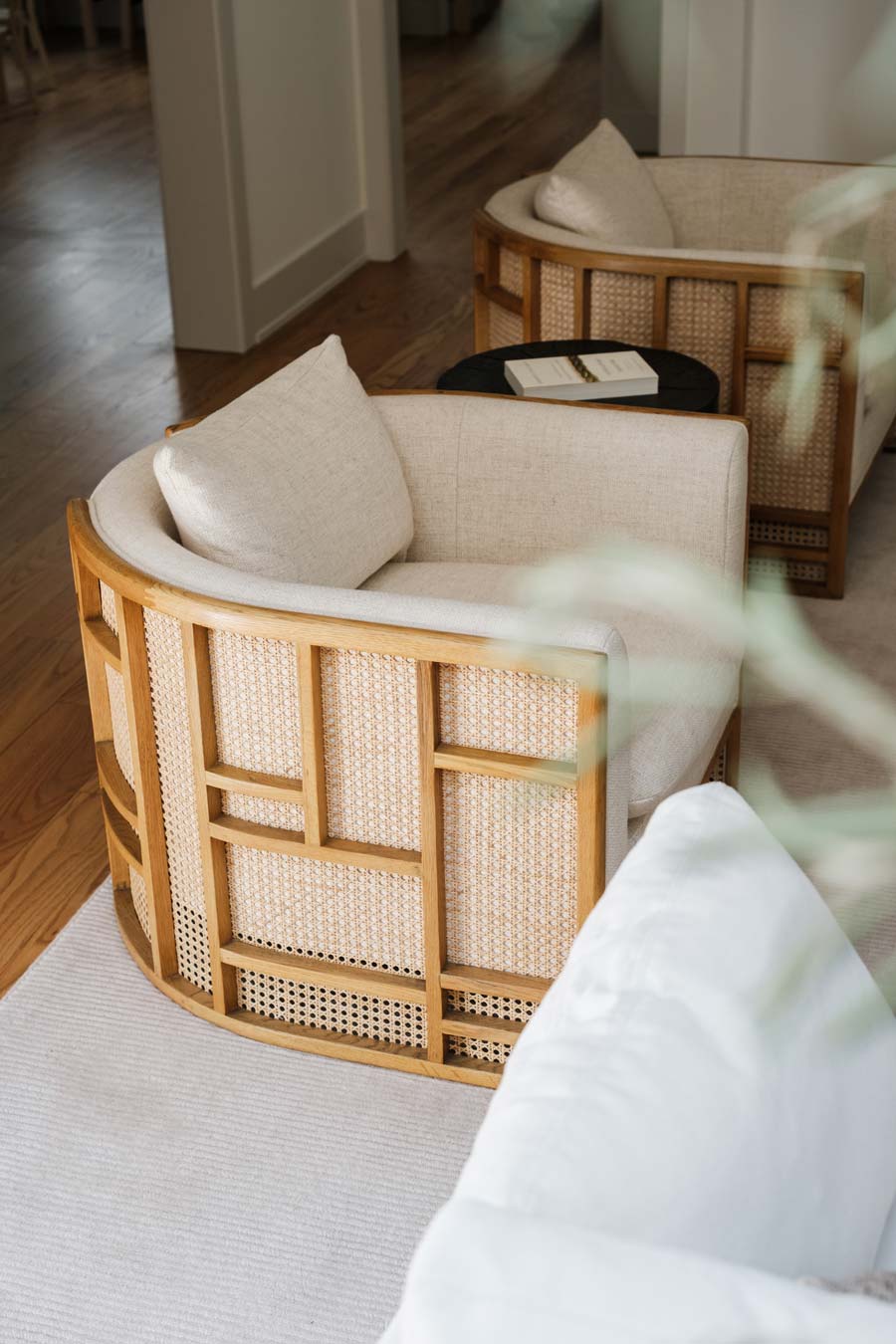 bright organic furnishings in modern interior home design