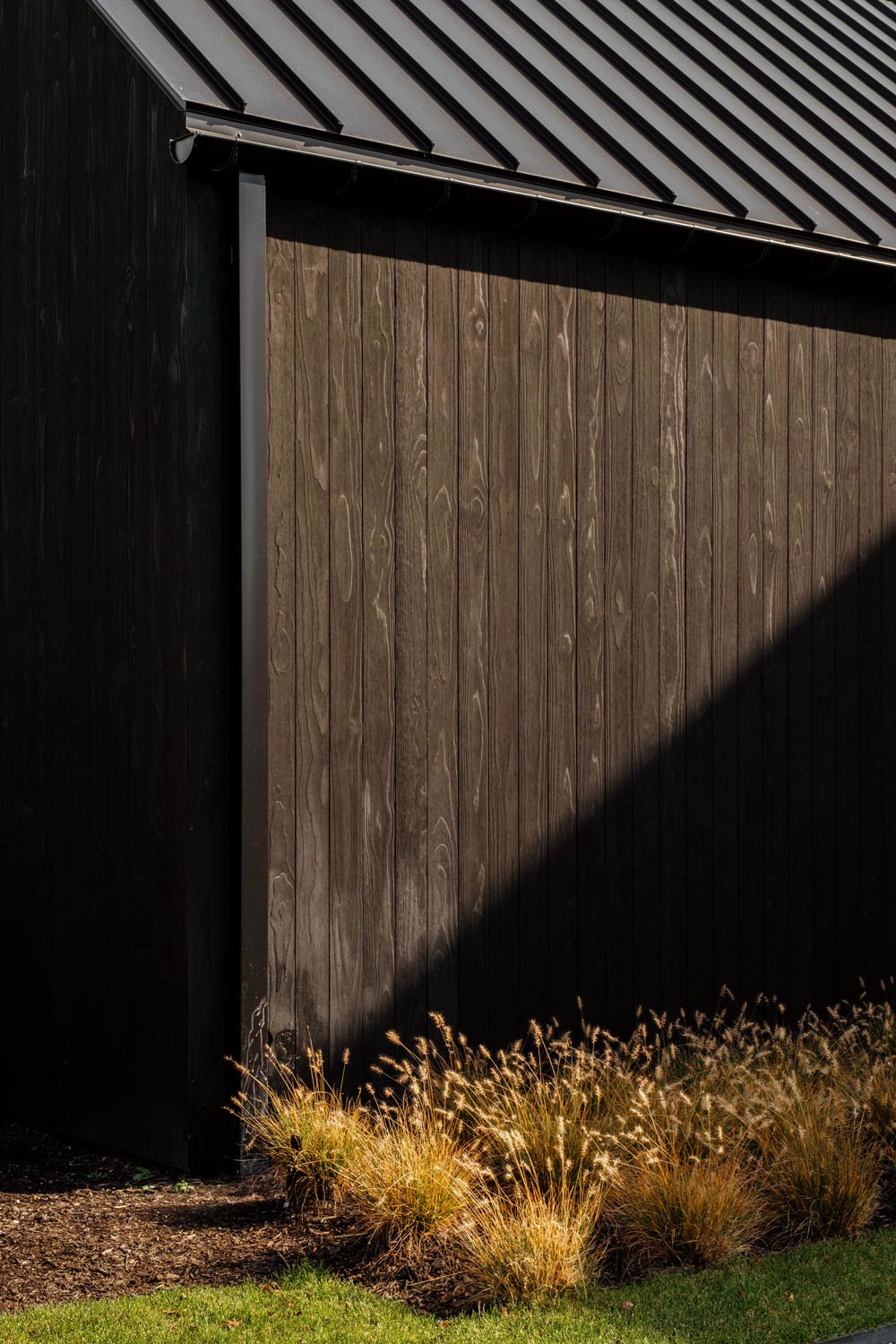 black wood siding and beach grasses on modern home