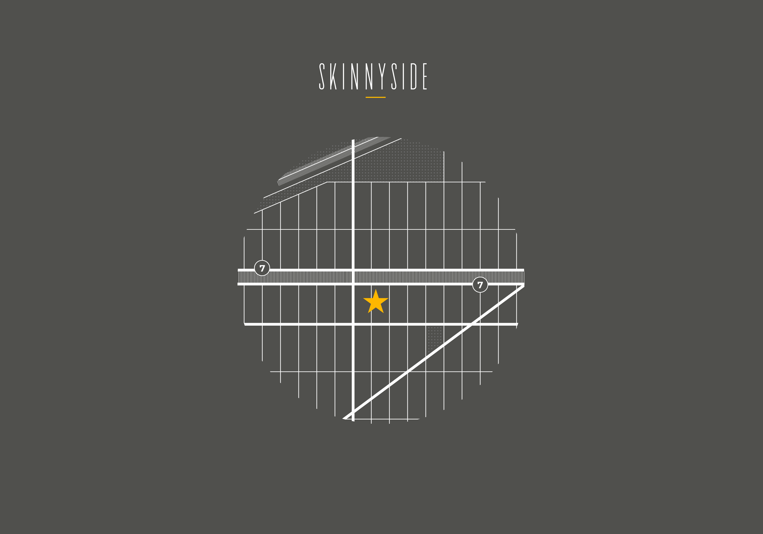skinnyside brand design elements