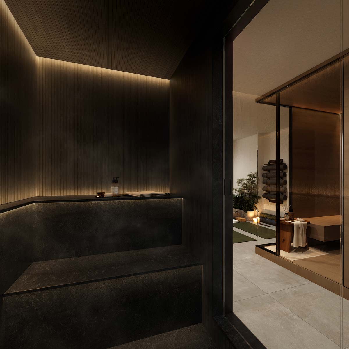 dark modern home sauna and steam room interior renovation
