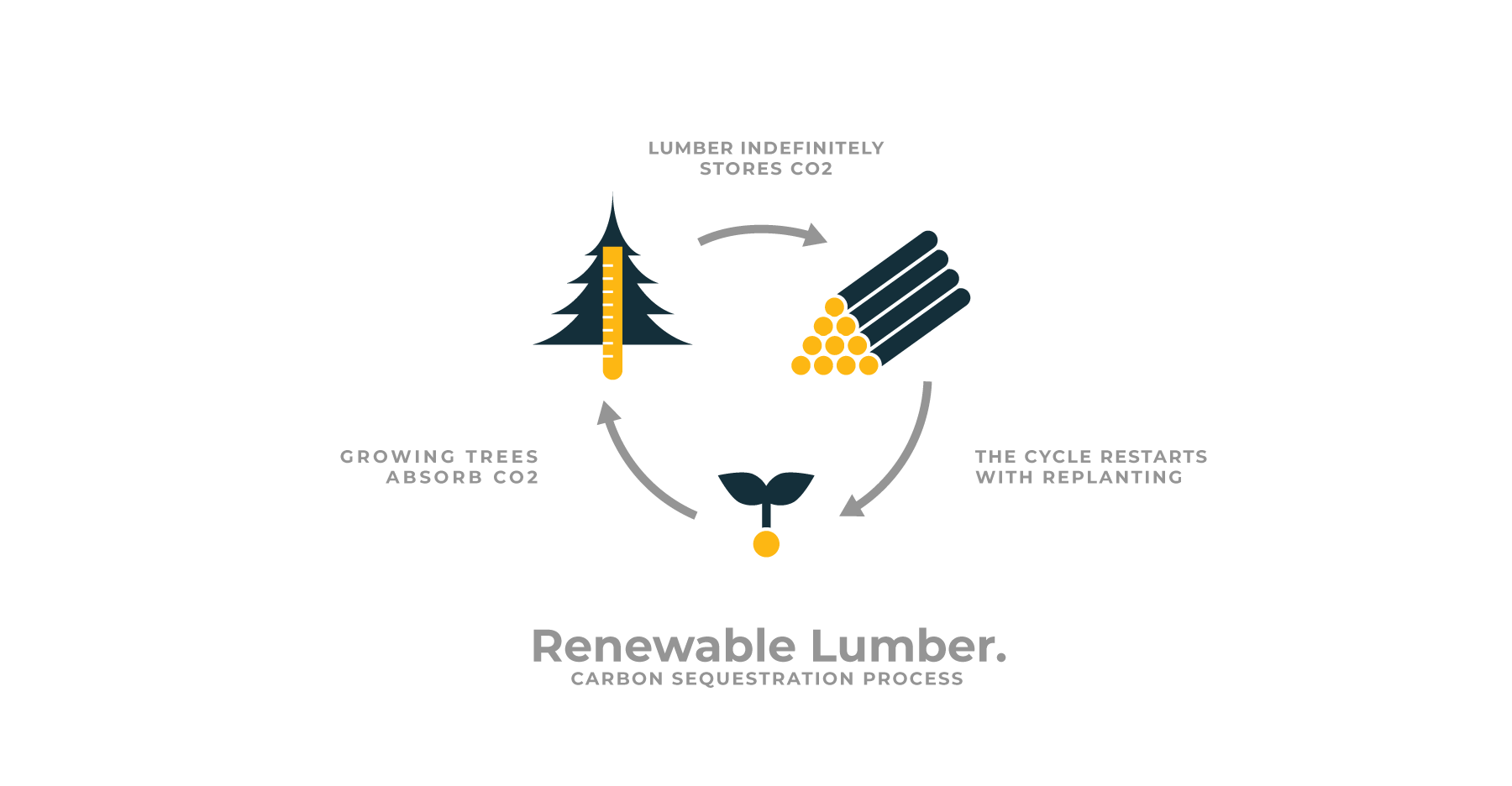 Carbon Sequestration Process Diagram showing how renewable lumber in modern home design benefits environment.