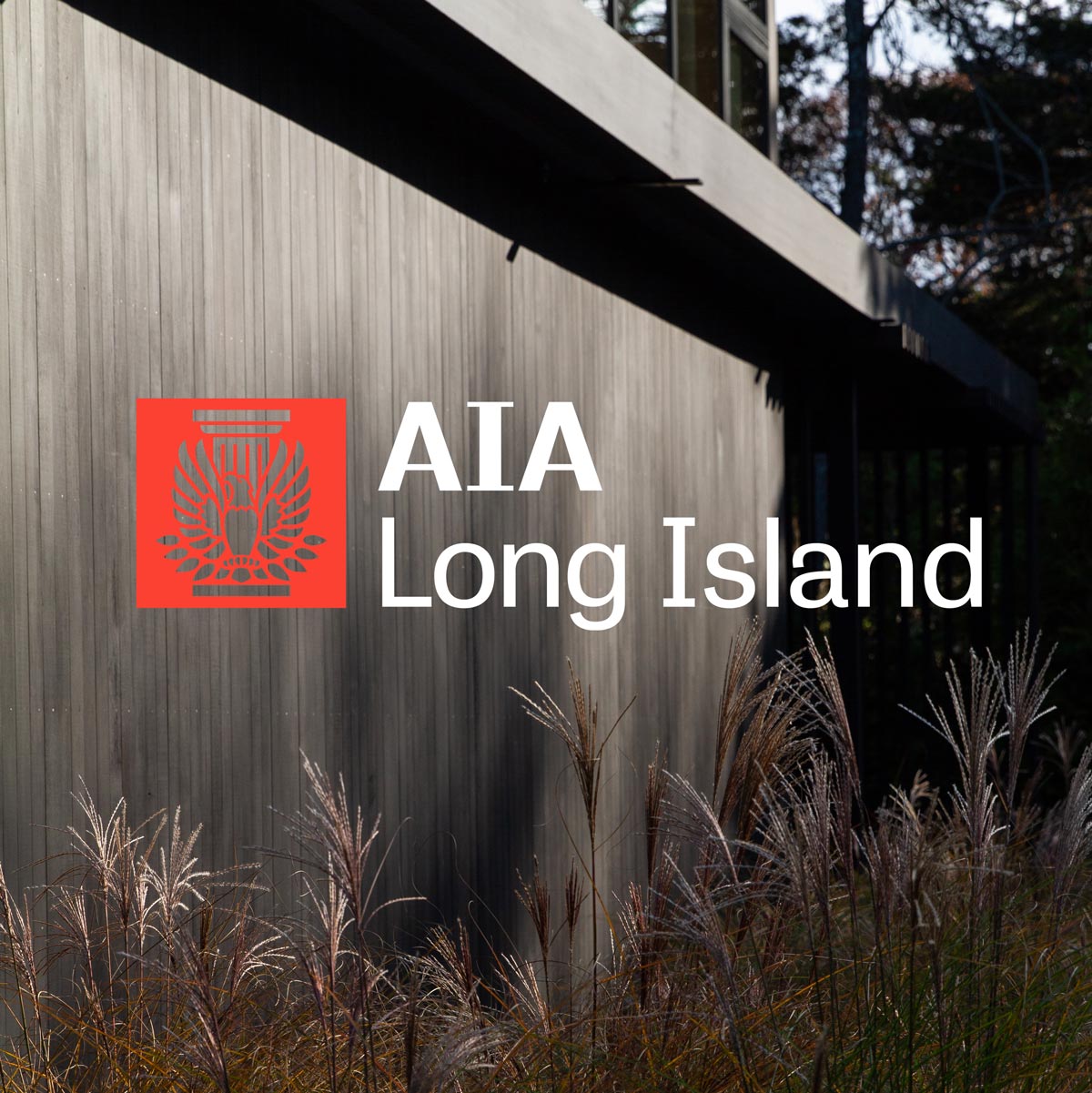 The Up Studio was selected as winner of 2021 Archi Award for Single Family Residential Home